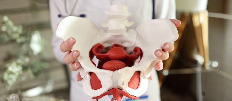 Pelvic floor biofeedback therapy